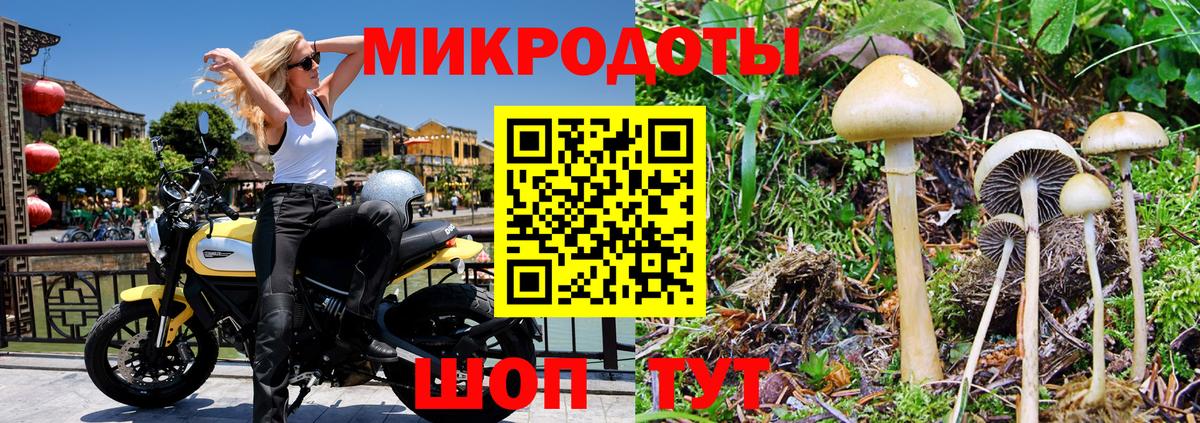 Галлюциногенные грибы мухоморы  где купить наркотик  Губкинский  Вход с VPN 
